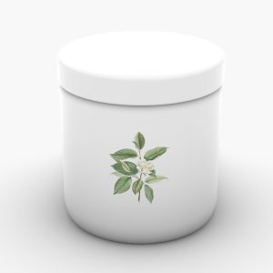 Vela de Massagem em porta joias de porcelana personalizada com estampa