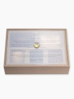 Kit Festejar Signature I com convite